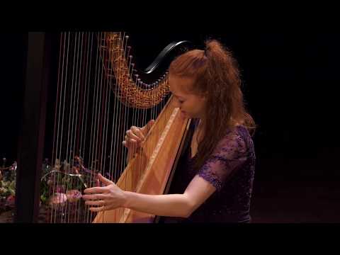 Oumuamua, Sylvia Maessen - by Inge van Grinsven on harp