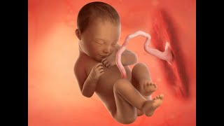 Remembrance Sunday for Unborn Babies