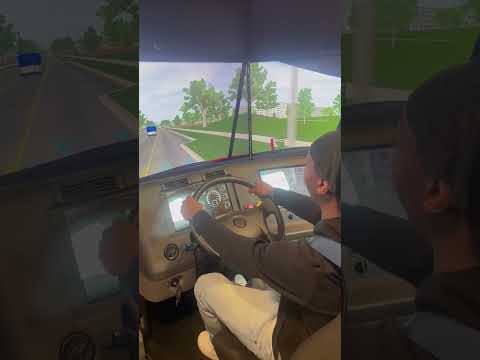 , title : 'HIT and RUN in Truck Driving Sim!!!'