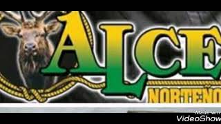 ALCE NORTEÑO/PARA QUE ME HACES LLORAR
