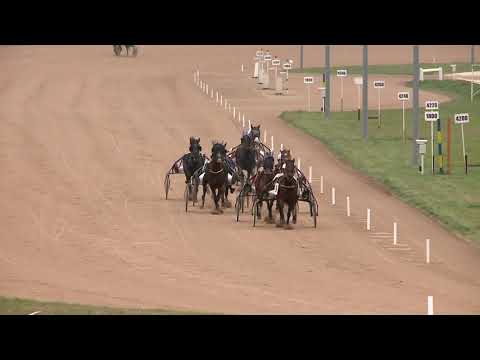 2020.11.28. 04. futam - CSANTAVÉRI DÍJ