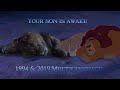 Before Sunrise He S Your Son 1994 2019 Lion King Multilanguage