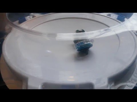 Ragnaruk Central Massive Vs. Wyvern Heavy Survive!