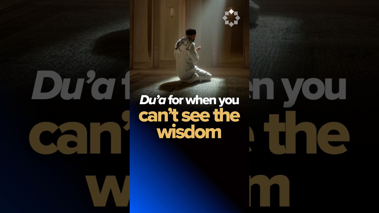 A Du’a for when you can’t see the Wisdom