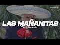 LAS MAÑANITAS - Vicente Fernández  (Letra)