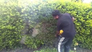 preview picture of video 'Hedge Trimmer petrol run for shaping shrubs available in Jammu. Delivery all India Call 97964992.6'