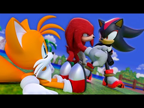 Knuckles saves Tails + Shadow The Hedgehog - Sonic And Tails - Good Ending ( FNF Animation)