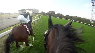 Re: [問題] 為什麼賽馬娘的起跑是同一直線?