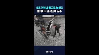 12초간 냄새 맡고도 놓쳤다..돌아서자 순식간에 질주 #shorts