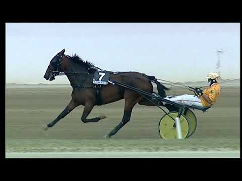 Napoli Trotto 17/09/2021 - 6ª corsa