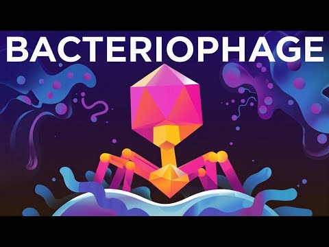 The Deadliest Being on Planet Earth – The Bacteriophage