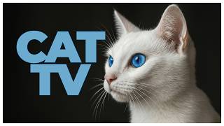 Cat TV Underwater 🌊 Fish & Calming Music for Cats | 6 Hour Cat Entertainment