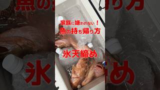 なぜもっと早くやらなかった？魚臭さを消す最強の裏ワザ #釣り #魚の持って帰り方 #氷天締め