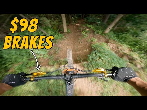 AMAZON BRAKES vs. STEEP DOWNHILL TRAILS