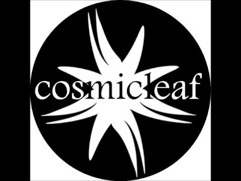 #9 Discovering Cosmicleaf.com - Mix & Selection by Side Liner
