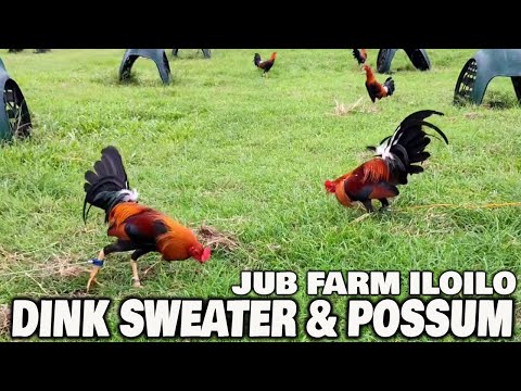Dink Sweater Possum Joe Goode Grey JUB FARM - Beautiful Birds
