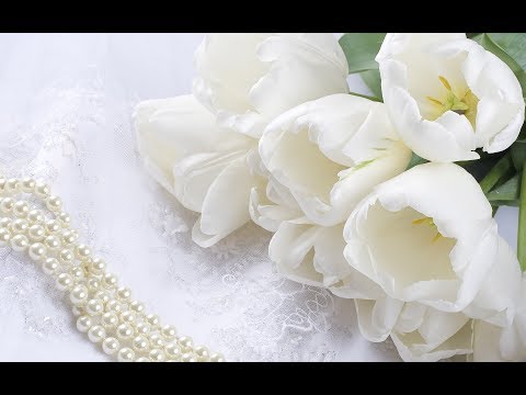 24 Septembrie 2017 - Nunta Necsa Beni & Silvia