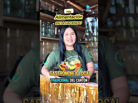 11 de septiembre de 2026