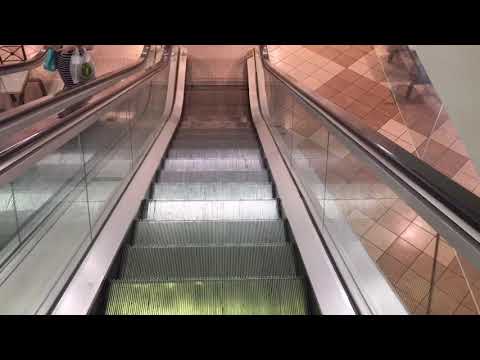 Riding All The Escalators in Toronto of 2018