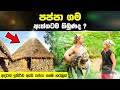 පප්පා ගම ඇත්තක්ද Sura Pappa Is Sura Pappa Village Real Asterix Sinhala S
