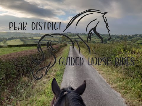 Play Video Youtube Video