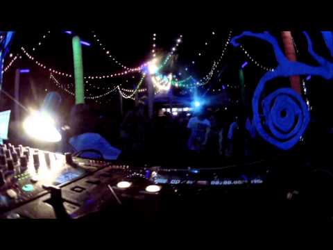 Whiptongue @ HILL TOP - Goa.India - Nov. 2013