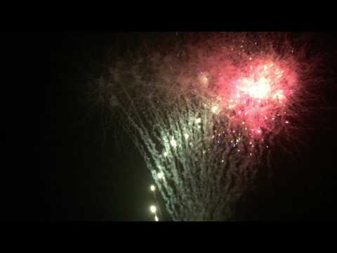 S-150-2 - Variegated Peony