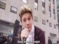 Niall Horan || Everytime We Touch 