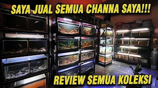 Download lagu REVIEW SEMUA CHANNA DAN HARGA SPESIAL UNTUK SUBSCRIBER mp3