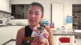 Duet With Kitten! :) - Tennis Court (Lorde) by FMN & Lucky Cat