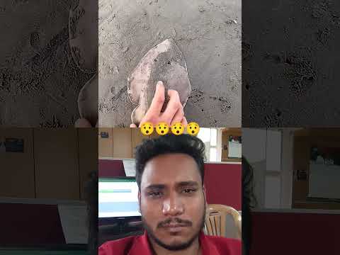 Rescue Mission: Left to die by fishermen but #beachvibes #beach #nature #beachlife #beachlove #SK