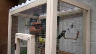 How to make your own bird cage or mini aviary