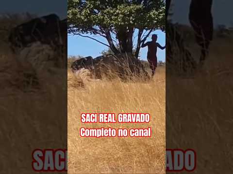 SACI REAL GRAVADO #sacipererê #saci #folclore #ithinnfarras #lendas #floresta #aventura