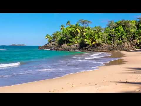 Olas del Paraíso - Playa Hermosa con Sonidos Relajantes del Mar sin Música