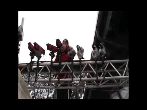 Oberstdorf Videoweitenmessung