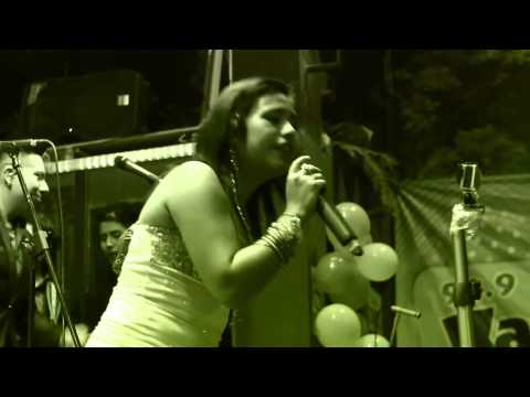 Papillón - Mix Cartero