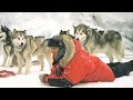Eight Dogs Survive 180 Days In Antarctica Waiting For Their Owners To Take Them Home