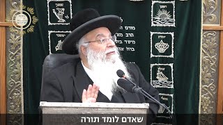 למה הילד לא מבין