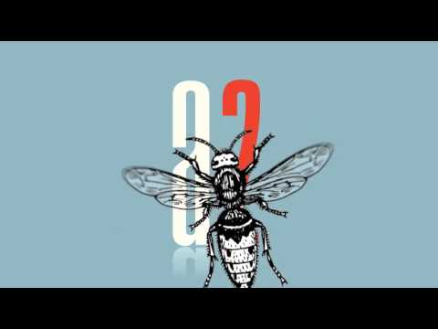 AVESPADOS / Programa 04 - Limpia en Peguche - Parte 3