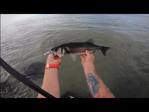 Savage gear v2 sandeel fishing for bass