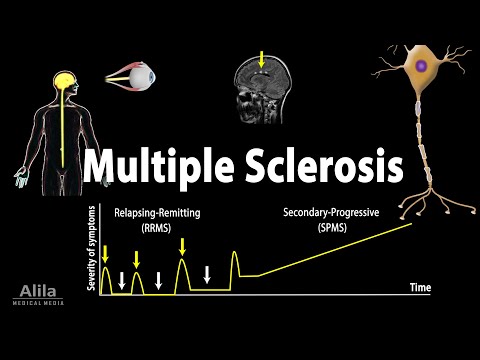 The Immune System Overview Animation