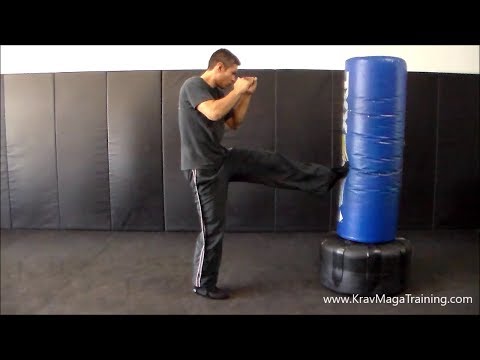 Krav Maga - Forward Leg Front Kick in Place (Most Common Mistake to Avoid)