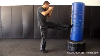 Krav Maga - Forward Leg Front Kick in Place (Most Common Mistake to Avoid)