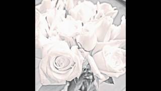 Korallreven - Honey Mine