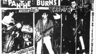 Tav Falco's Panther Burns - Ode To Shetar