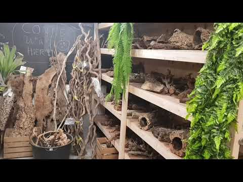 Repticura Promofilmpje 2021