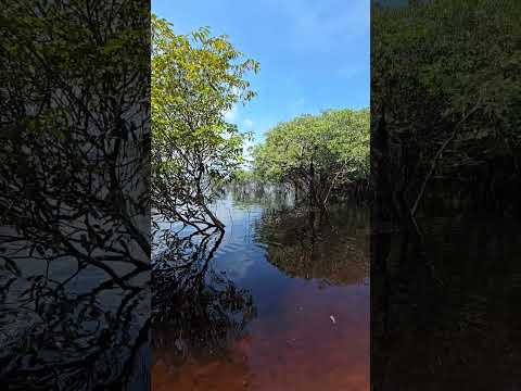 Praia Secreta em Anavilhanas, Novo Airão, Amazonas.