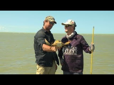 IFISH Barra & Mud Crabs with Matt Wright - Full Ep.