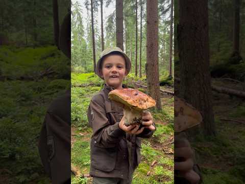 Grzybobranie. Staś na grzybach. Grzyby, las, prawdziwki.