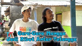 Download lagu Gara-Gara Mangga Jadi Ribut Antar Tetangga mp3